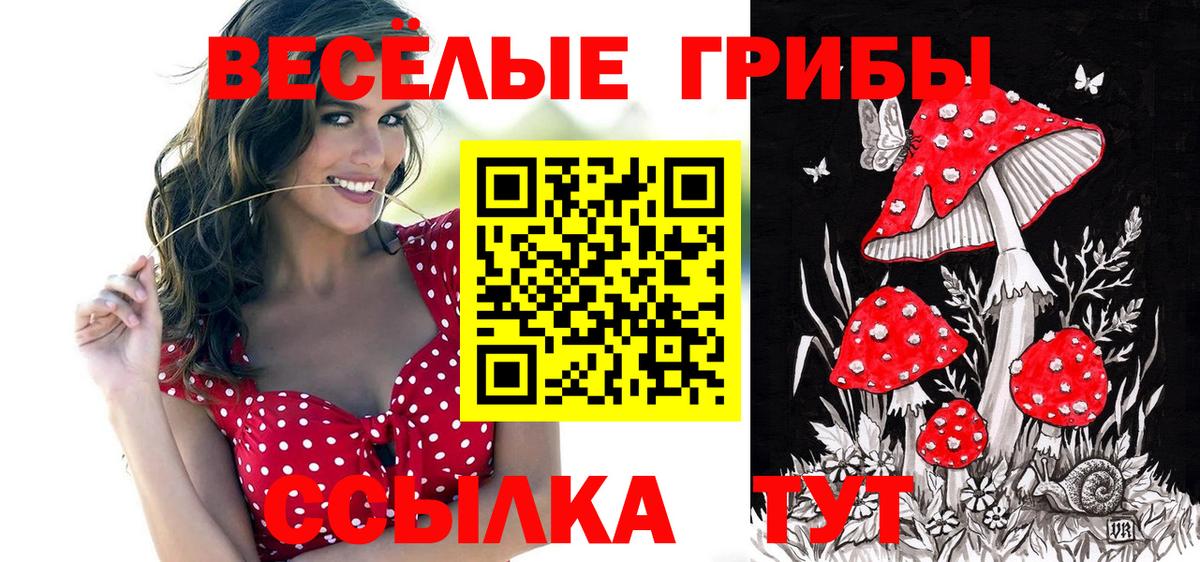 Галлюциногенные грибы GOLDEN TEACHER  Вход с VPN  Псилоцибиновые грибы прущие грибы  Воронеж 