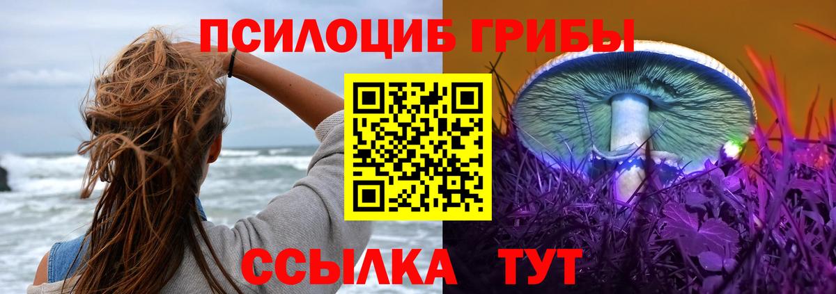Галлюциногенные грибы прущие грибы Воронеж