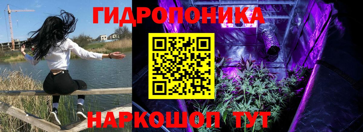 Бошки марихуана VHQ  Вход с VPN  Канабис сатива  Конопля Bruce Banner  Воронеж  Каннабис семена 